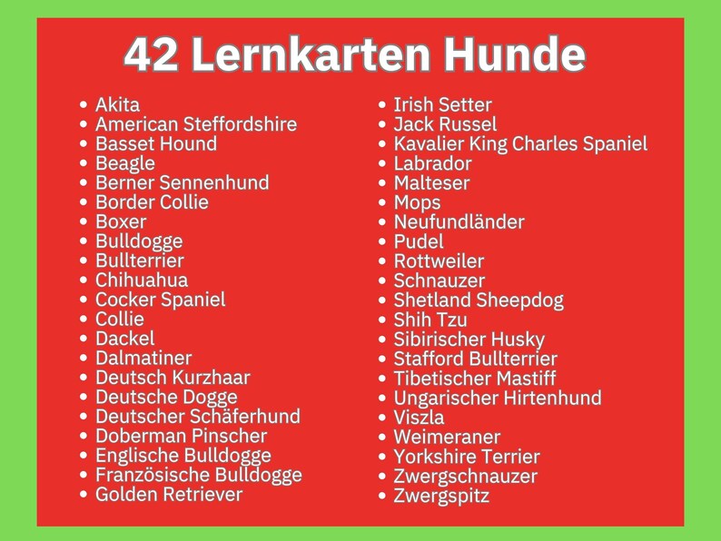 Hunde-Abschlusskarte – 17,8 X 12,7 Cm, Blanko Innen, Für Tierliebhaber, Tierarzt & Schulabschluss