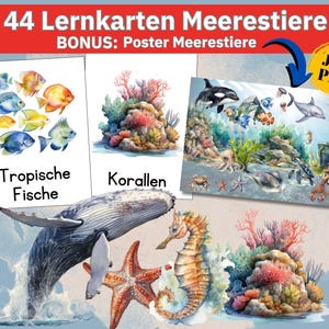 Unter Wasser Meerestiere Kinder Montessori Lernmaterial, Poster Ozean Bilder Meerestiere Aquarell Tiere Bilder Ozean Kinderzimmer Deko, pdf