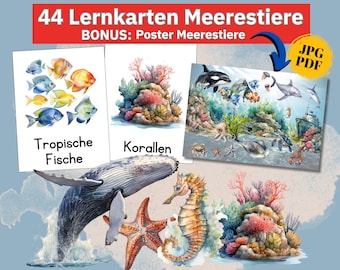 Underwater Sea Animals Children's Montessori Learning Material, Poster Ocean Pictures Sea Animals Watercolor Animals Pictures Ocean Children's Room Decor, pdf