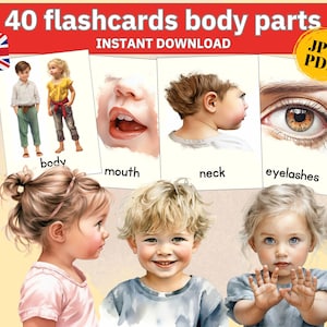 human body parts flashcards human body for kids teaching material, flash cards human body art, homeschool montessori playing human anatomy
