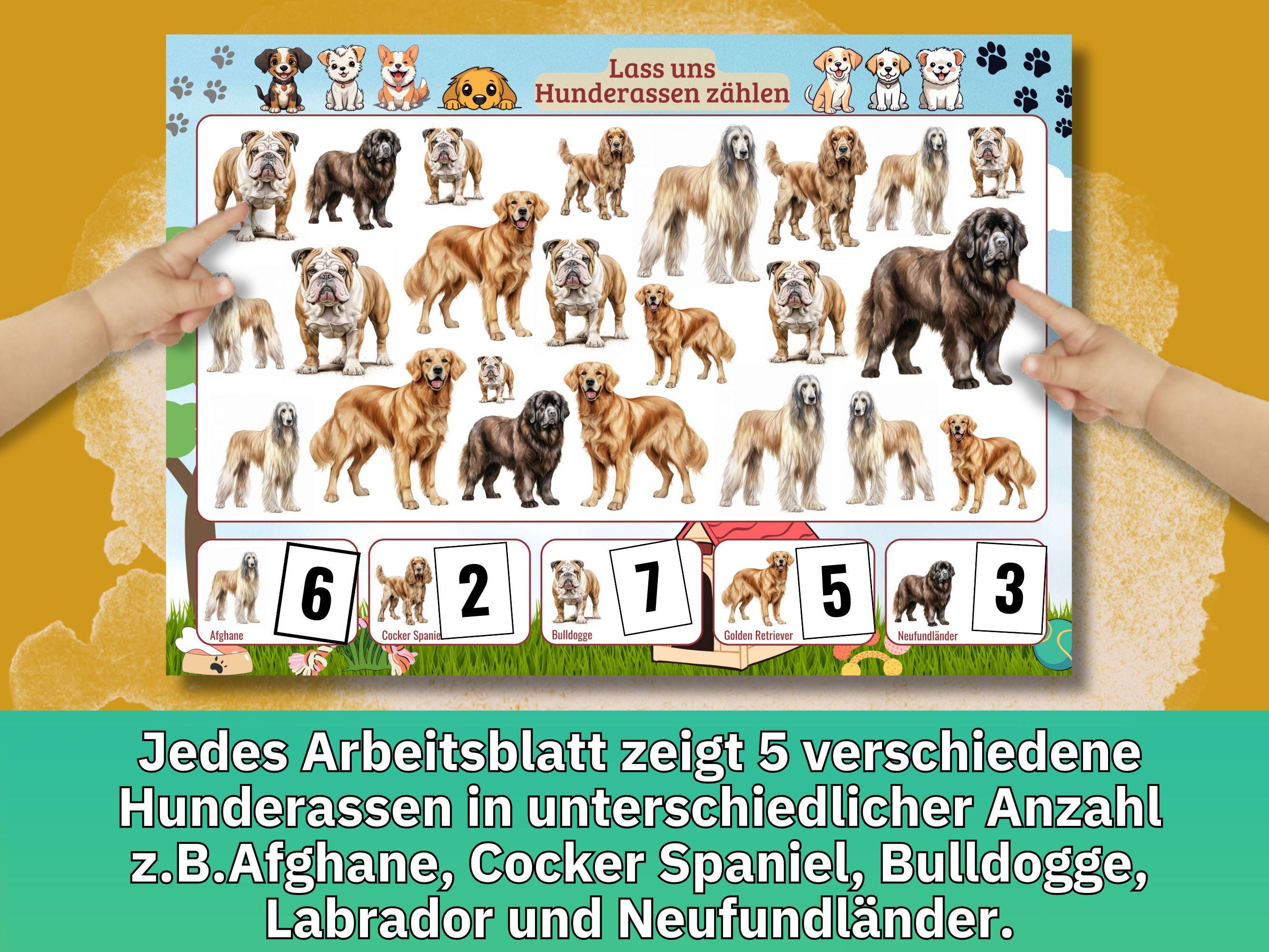 Sorting Dogs Worksheet Dog Breeds Pictures Dogs Hidden Object Pictures Daycare Worksheet Math ...