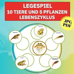 Peut inclure: Schéma éducatif illustrant le cycle de vie d'une grenouille, avec des étapes en allemand. L'image présente une grenouille centrale entourée d'illustrations circulaires de ses étapes de vie, y compris les œufs et les têtards. Le texte en haut indique "LEGESPIEL 10 TIERE UND 5 PFLANZEN LEBENSZYKLUS."