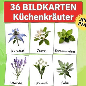 以下が含まれることがあります： ボラージ、ジャスミン、ミント、ラベンダー、ワイルドガーリック、セージなど、さまざまなハーブが描かれた6枚のイラストカード。各カードにはハーブの画像とその名前が印刷されています。画像の上部には「36 BILDKARTEN Küchenkräuter」というテキストがあります。