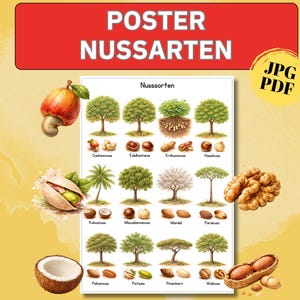 May include: A poster titled "Nussarten" (Nut Varieties) features illustrations of various nuts and their respective trees. The poster includes images of cashews, hazelnuts, walnuts, and more, with the text "JPG PDF" in the corner.