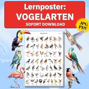 Póster Montessori, póster de pájaros, póster de animales para el aprendizaje en la habitación de los niños, póster para la habitación de los niños, póster de animales para el aprendizaje en el jardín de infantes, educación en casa para niños.
