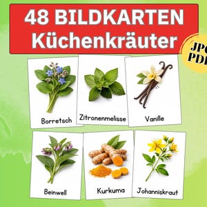 印刷可能なハーブ絵カード（PDF）：セージ、ラベンダー、幼稚園学習、モンテッソーリハーブガーデン、薬草、子供向け学習カード、ハーブ