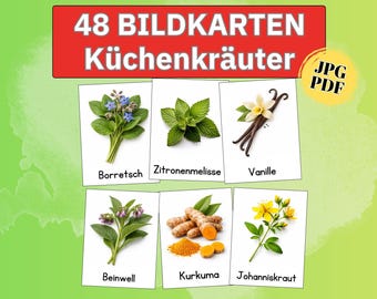 Printable herb picture cards (PDF): Sage, Lavender, Kindergarten learning, Montessori herb garden, medicinal herbs, learning cards for children, herbs