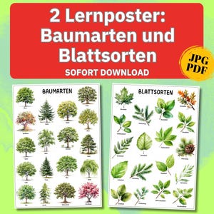 Bäume Plakat Natur Blätter Baum, Montessori Deko Kinderzimmer Poster Bäume Blätter Plakat Lernposter Grundschule, Bäume Bilder Blätter print