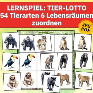 Dierenfoto's kinderkamer leermateriaal kinderen dieren Montessori thuisonderwijs kinderen aanmoedigen prentkaarten pdf print dierenfoto's leerspel