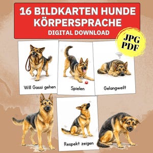 Puede incluir: Una descarga digital con seis tarjetas ilustradas con perros pastor alemán que demuestran varios comportamientos. Las tarjetas incluyen texto en alemán, como "Will Gassi gehen" y "Spielen". La imagen también incluye el texto "16 Bildkarten Hunde Körpersprache Digital Download JPG PDF."
