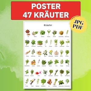 May include: A poster featuring 47 herbs, with each herb labeled in German. The poster has a white background with a grid of illustrations of various herbs. The top of the poster has the text "POSTER 47 KRÄUTER" in red. A yellow circle with "JPG PDF" is in the upper right.