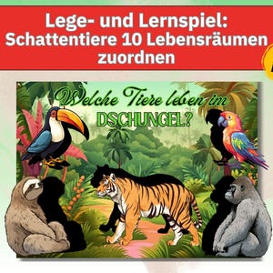Safari Tiere Dschungel Tiere lernen Montessori Lernkarten für Kinder Sortierspiel Legespiel Kinder fördern Homeschooling Kinder pdf download