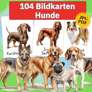 Dog breed picture cards, animal cards, dog breed learning materials, dog picture flashcards for children, animal learning cards, Montessori picture cards (PDF)
