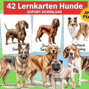 犬の品種の絵カード、動物カード 犬の品種の学習教材、犬の写真のフラッシュカード、子供用カード、動物を学ぶ、モンテッソーリの絵カード PDF