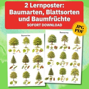 Puede incluir: Dos carteles educativos con el texto "2 Lernposter: Baumarten, Blattsorten und Baumfrüchte SOFORT DOWNLOAD". Los carteles muestran ilustraciones de varias especies de árboles, hojas y frutos. Un círculo amarillo con "JPG PDF" está en la esquina.