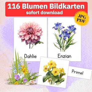 Blumen Bildkarten Montessori Karten Blumen, Blumen Lernkarten Kinder Poster Blumen Bilder, Outdoor Blumen Frühling Blumen flash cards