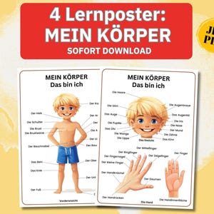Menschlicher Körper Poster Kinder, mein Körper Poster Anatomie Modell, Körperteile Kindergarten, Lernmaterial Montessori Körperformen pdf