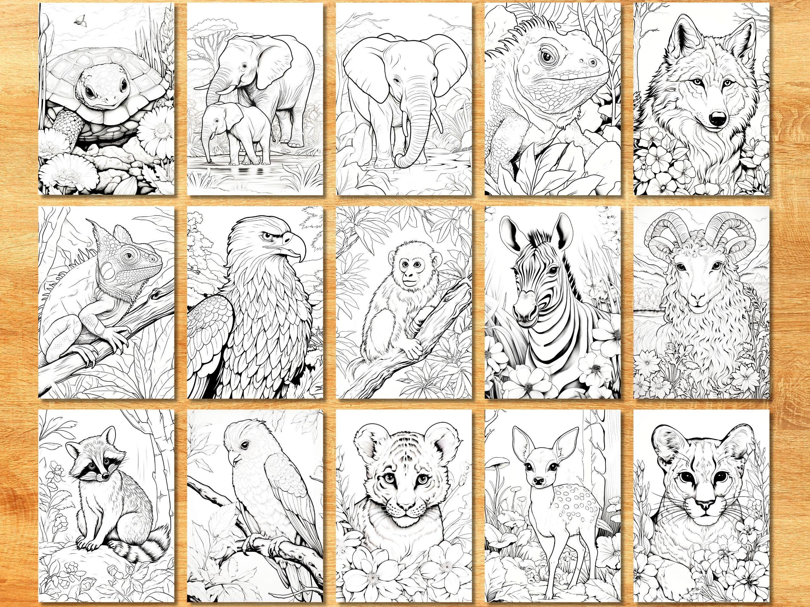 Animal Coloring Book Templates, Animal Coloring Pages, Children's ...
