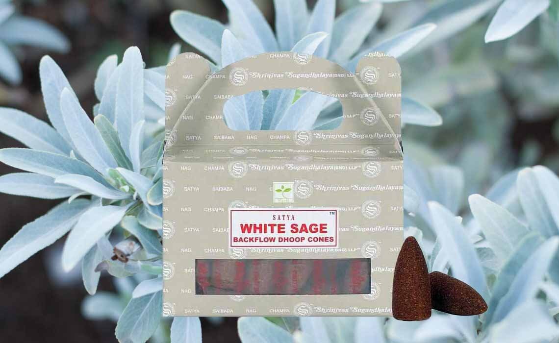 Encens Backflow Sauge Blanche, Encens à Reflux