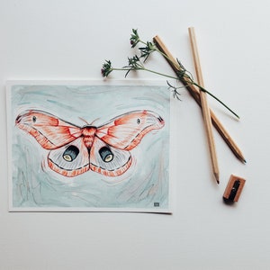 May include: A watercolor painting of a large, orange and white moth with black eyes. The moth is on a light blue background with white brushstrokes. The painting is framed and on a white surface.