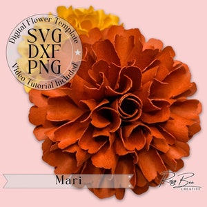 Tutorial per fiori di carta Mari Marigold / Fiori di carta SVG, PNG, DXF / Modello di fiore