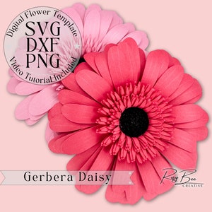 Fiore di carta Gerbera Daisy / Tutorial per fiori di carta / Modello per fiori di carta / Fiori di carta fai da te / Mini fiori di carta