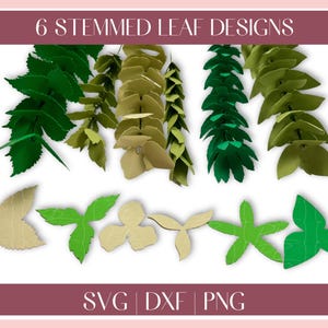 Puede incluir: Seis diseños de hojas con tallo en verde y beige. Los diseños son para manualidades y se pueden usar para scrapbooking, creación de tarjetas y otras manualidades de papel. Se incluyen archivos SVG, DXF y PNG.