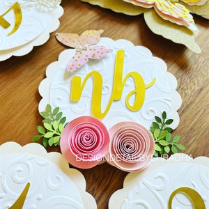 Banner mensual personalizado / Banner fotográfico mensual personalizado / Decoración del primer cumpleaños / Banner fotográfico temático / Suministros para fiestas / Tema mariposa