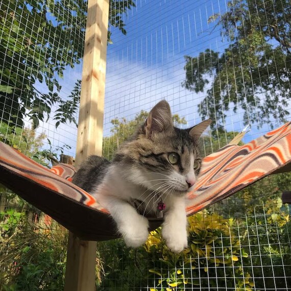 Large pet hammock hotsell