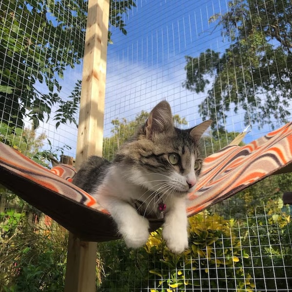 Très grand hamac pour chat