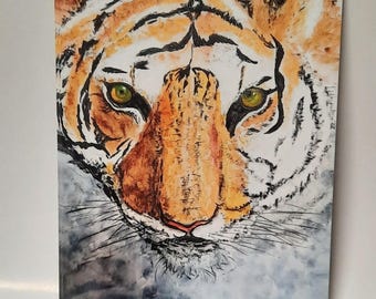 Tiger - I see you! Wild animals