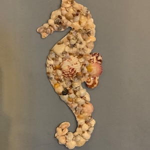 Seahorse/Seahorse Decor/Costal Decor/Ocean Decor/Sea Shells