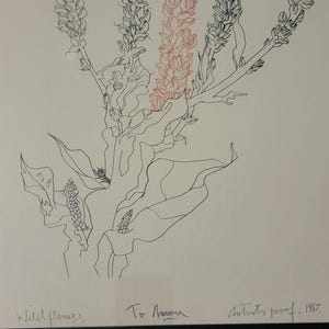 May include: Black and red line drawing of wildflowers on white paper. The artwork includes the text "Wild flowers, To Aaron, Artists proof, 1967."