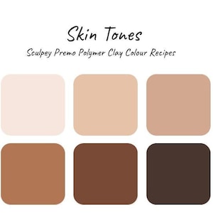 Könnte beinhalten: Sechs Farbmuster, die verschiedene Hauttöne zeigen. Die Muster sind mit "Skin Tones" und "Sculpey Premo Polymer Clay Colour Recipes" beschriftet.