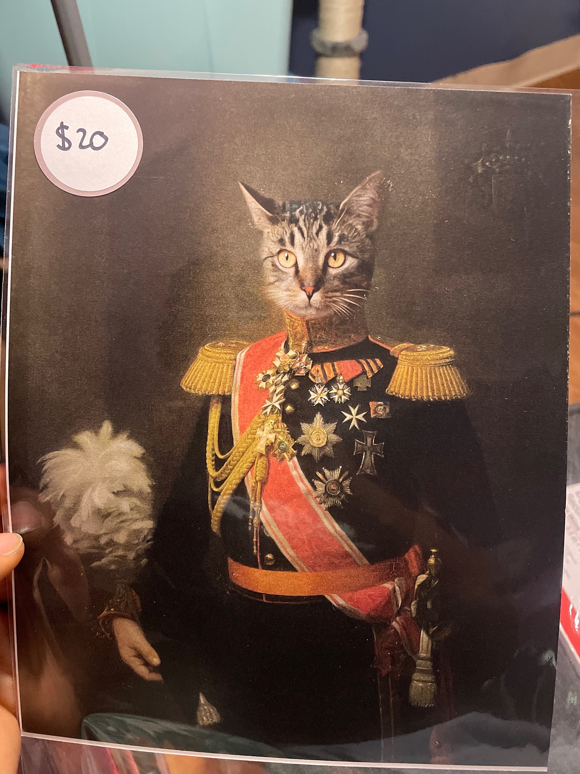 Captain Cat 8x10 Inch Print - Etsy