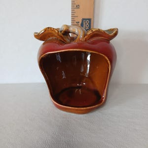 Vintage  Apple Scouring Pad Holder