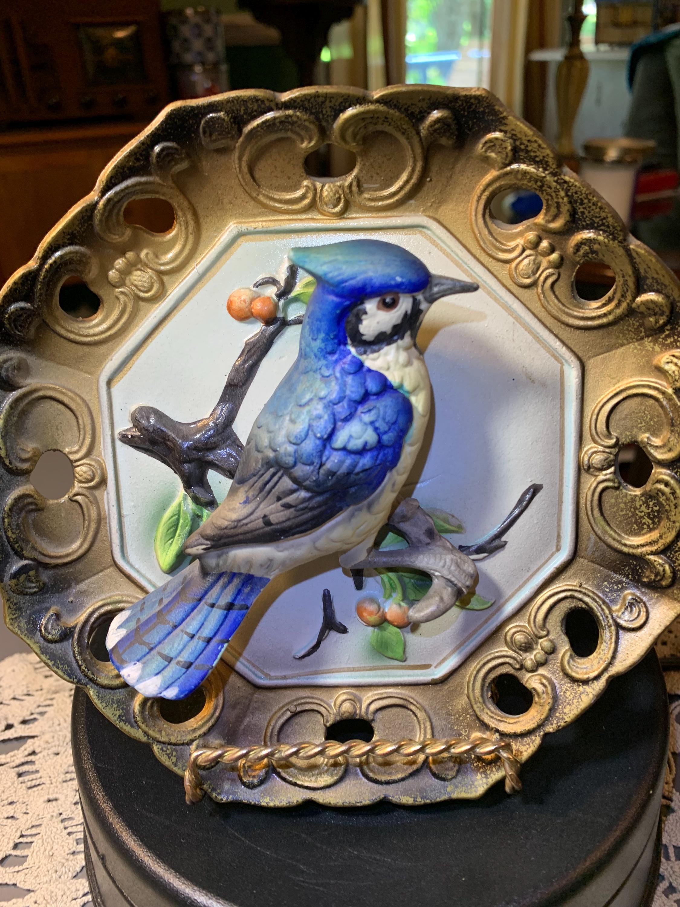Japan Blue Jay - Etsy
