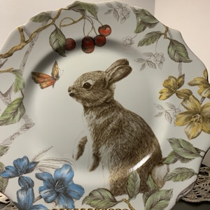 Dinner Plates Rabbit Salad Plates Dinner Plates Pottery Barn
