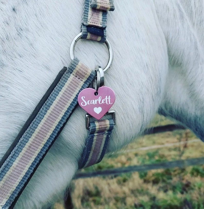 K&ouml;nnte beinhalten: Ein rosafarbenes herzf&ouml;rmiges Pferdeanh&auml;nger mit dem Namen "Scarlett" in wei&szlig;er Schrift. Der Anh&auml;nger ist an einem blau-rosa gestreiften Halfter befestigt.