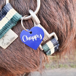 K&ouml;nnte beinhalten: Ein blaues herzf&ouml;rmiges Pferdeanh&auml;nger mit dem Namen "Choppy" in wei&szlig;er Schrift. Der Anh&auml;nger ist an einem schwarzen, wei&szlig;en und gr&uuml;nen Pferdehalfter befestigt.