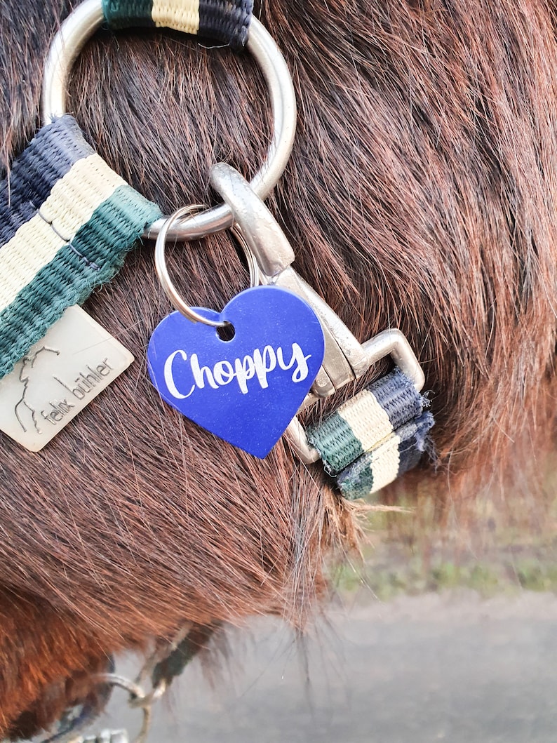 K&ouml;nnte beinhalten: Ein blaues herzf&ouml;rmiges Pferdeanh&auml;nger mit dem Namen "Choppy" in wei&szlig;er Schrift. Der Anh&auml;nger ist an einem schwarzen, wei&szlig;en und gr&uuml;nen Pferdehalfter befestigt.