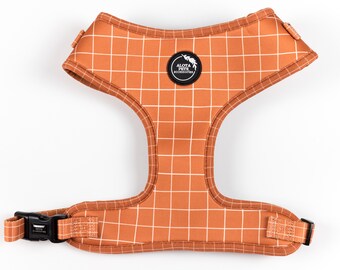 Comfortable, No-Pull Dog Harness for Everyday Adventures | Alota Pets