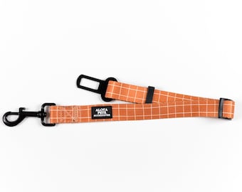 Adjustable Car Restraint