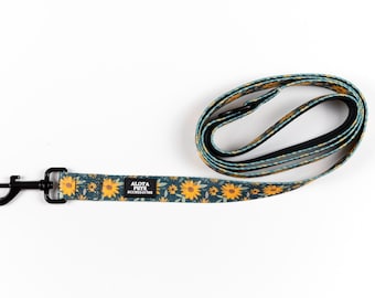 Dog Leash – Strong, Stylish & Comfortable Grip | Daily Walking Lead by Alota Pets