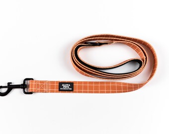 Dog Leash – Strong, Stylish & Comfortable Grip | Daily Walking Lead by Alota Pets
