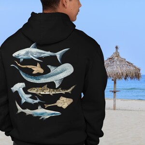 Shark Hoodie Shark Lovers Gift Shark Week Beach Hoodie Marine Biology Gift Marine Life Shark Art Sharks Whale Shark Great White Shark Gifts Black