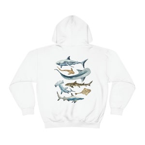 Shark Hoodie Shark Lovers Gift Shark Week Beach Hoodie Marine Biology Gift Marine Life Shark Art Sharks Whale Shark Great White Shark Gifts White