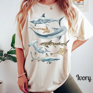 May include: A white t-shirt with a graphic print of various sharks, including a hammerhead, a whale shark, and a great white shark. The shirt is shown on a model wearing green shorts. The text "Ivory" is visible in the lower right corner of the image.