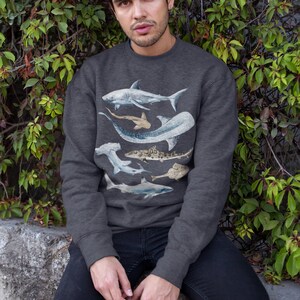 May include: A dark grey sweatshirt featuring a graphic print of various sharks and rays. The print includes a hammerhead shark, a whale shark, and a manta ray.