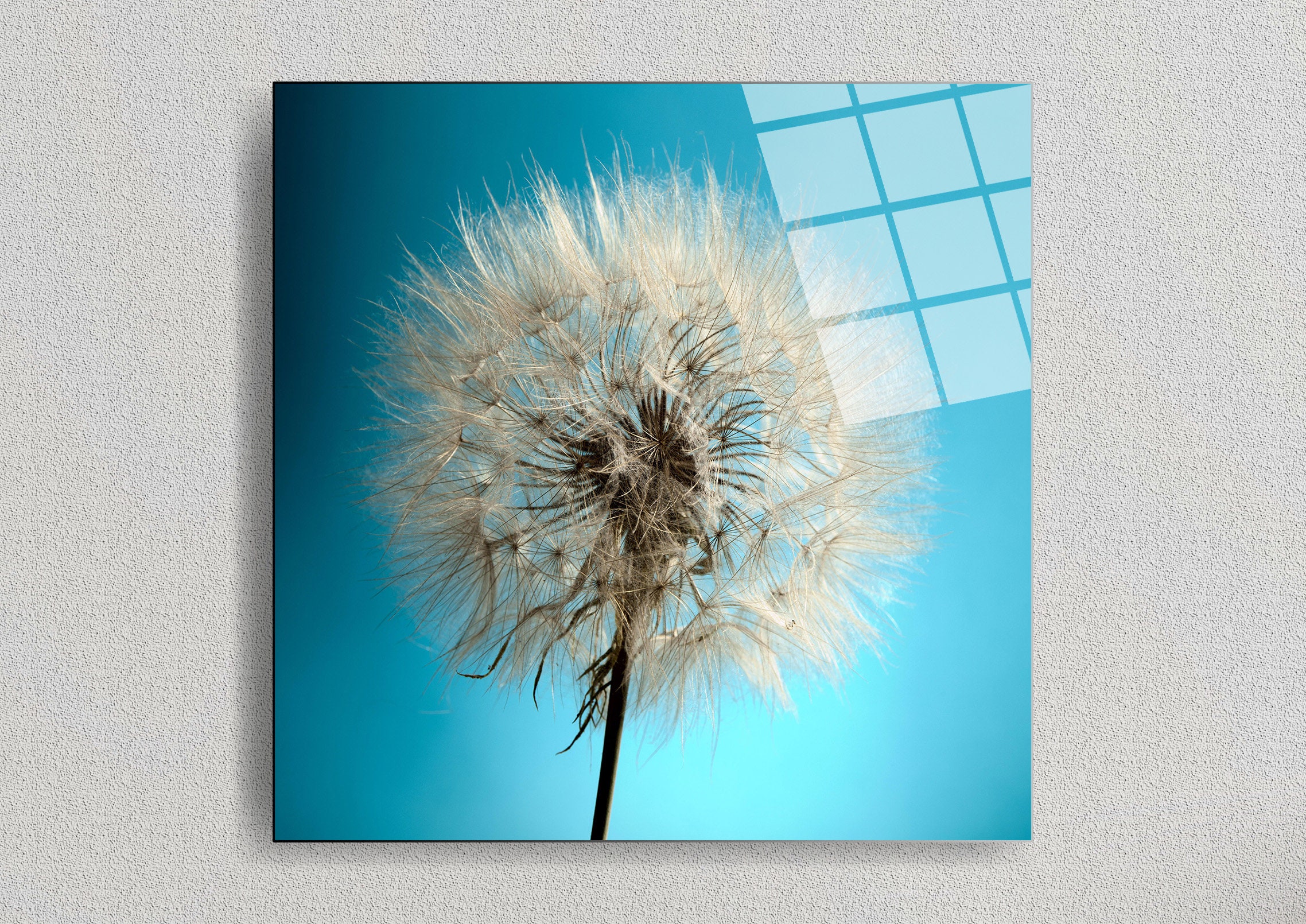 Tempered Glass Wall Art Dandelion Extra Large Wall Decor Etsy UK